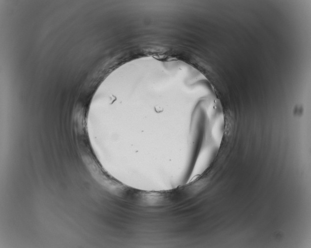 X0000112790287200909181521