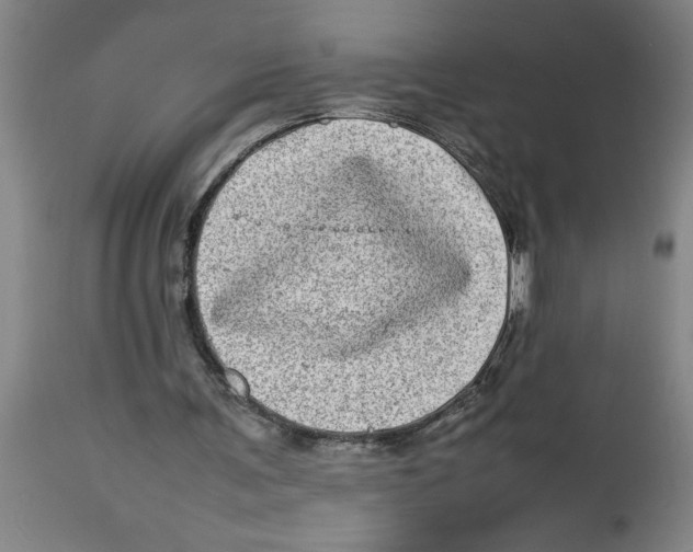 X0000112790291200909181520