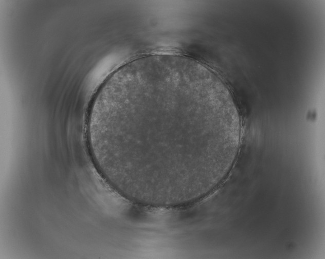 X0000112790293200909181520