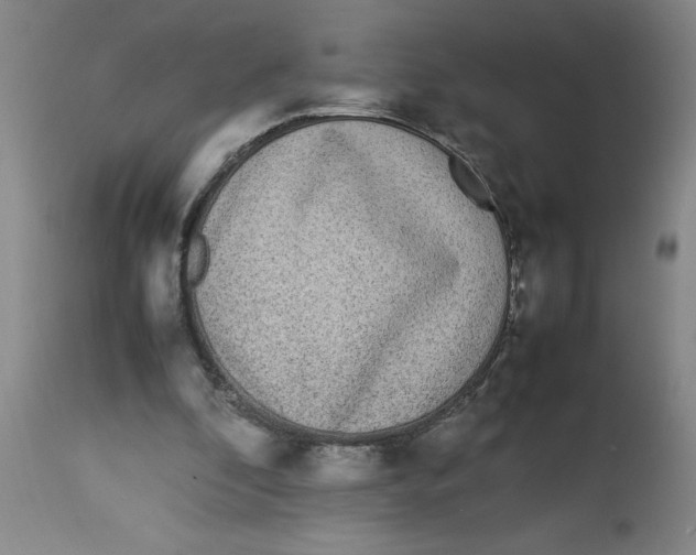 X0000112790296200909181520