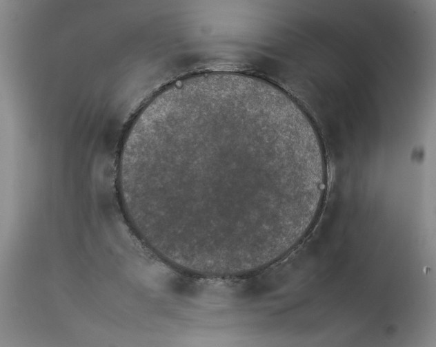 X0000112790297200909181520