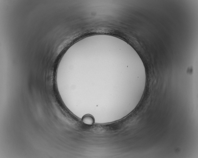 X0000112790299200909181520