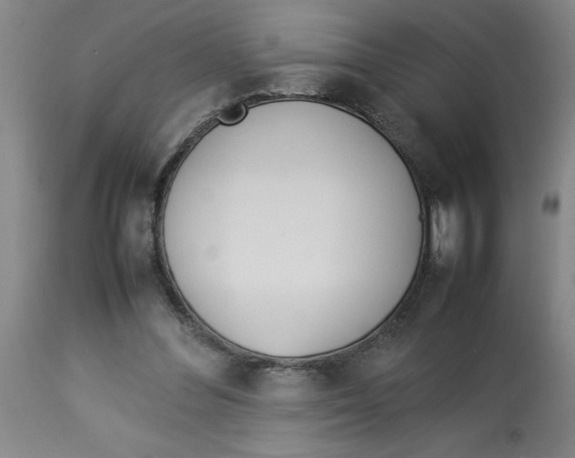 X0000112790300200909181520