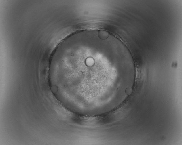 X0000112790301200909181520