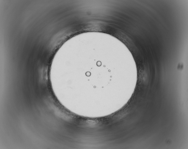 X0000112790302200909181520