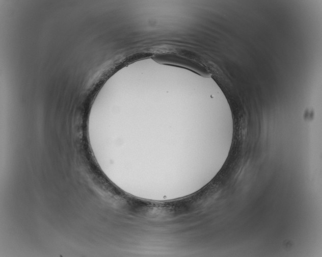 X0000112790303200909181520