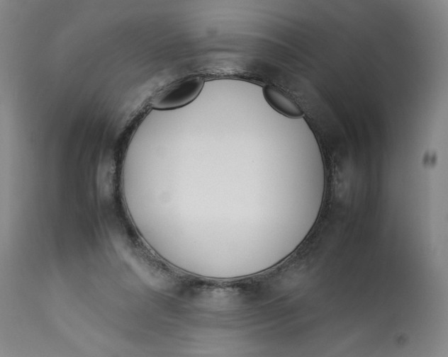 X0000112790304200909181520