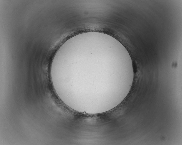 X0000112790306200909181520