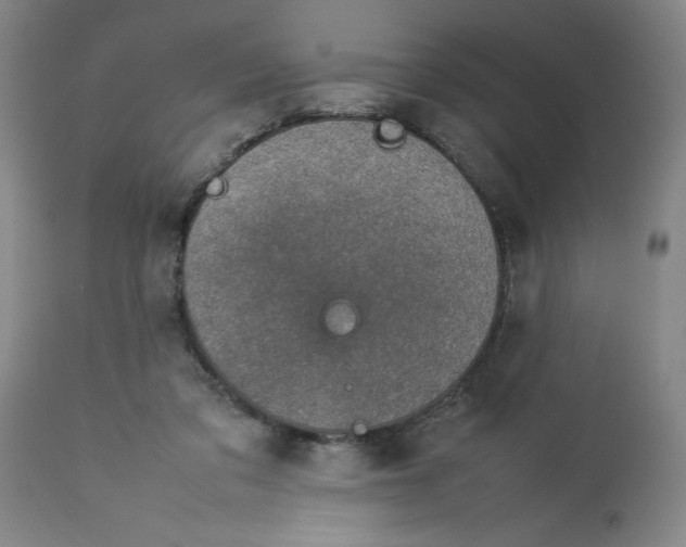 X0000112790309200909181520