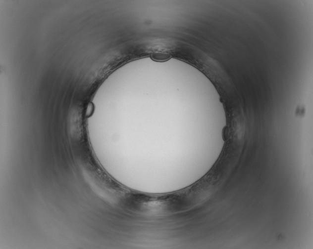 X0000112790312200909181520