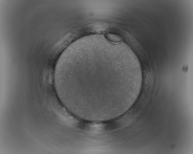 X0000112790313200909181520