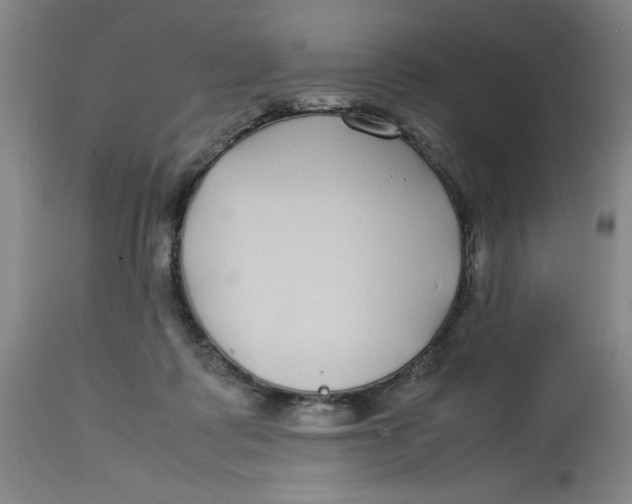 X0000112790315200909181520