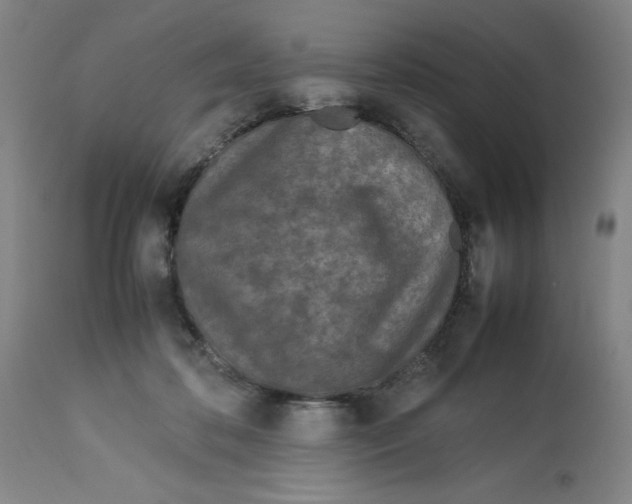 X0000112790316200909181520