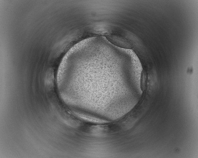 X0000112790320200909181519