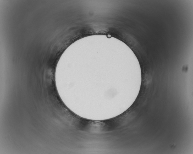 X0000112790321200909181519