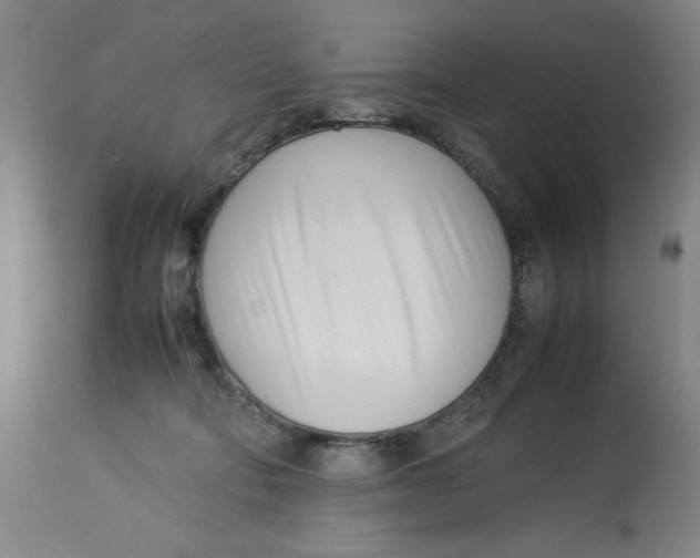 X0000112790322200909181519