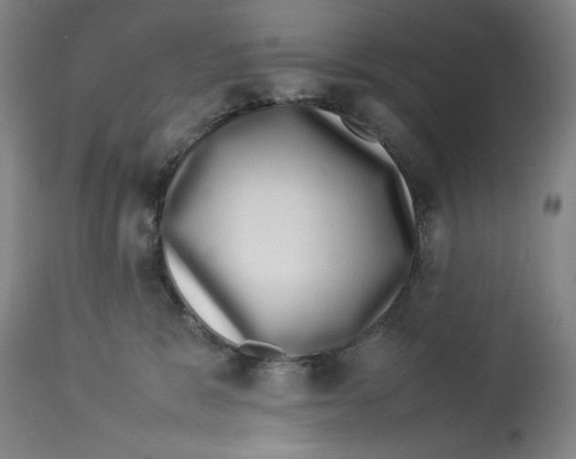 X0000112790327200909181519