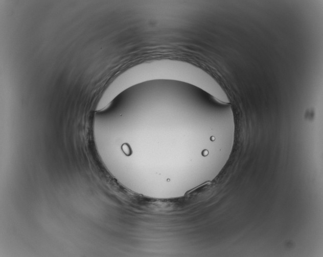 X0000112790328200909181519