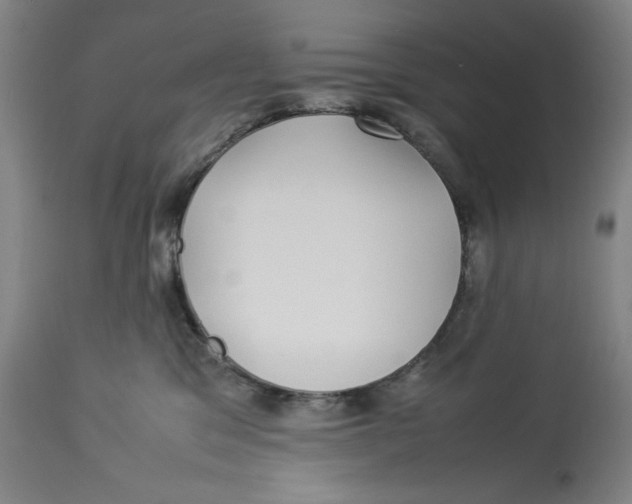 X0000112790329200909181519