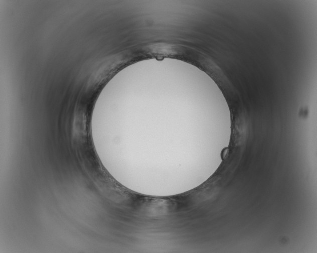 X0000112790330200909181519