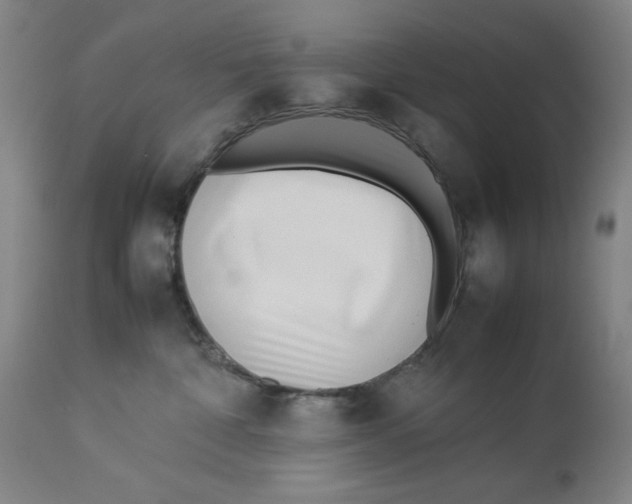 X0000112790332200909181519