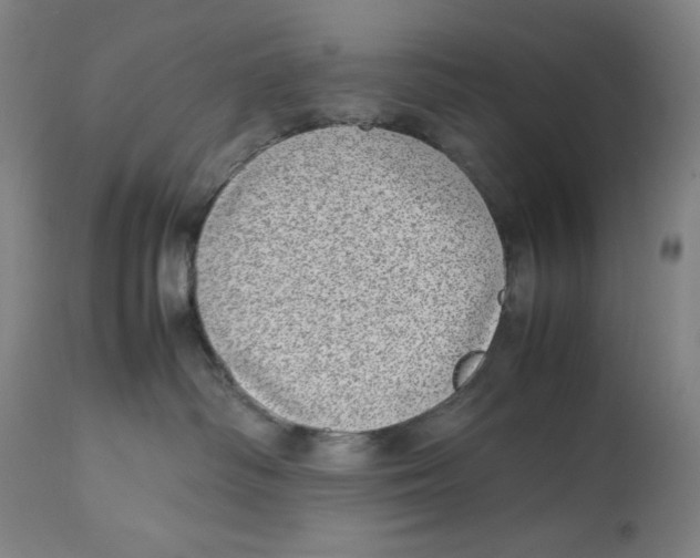 X0000112790334200909181519