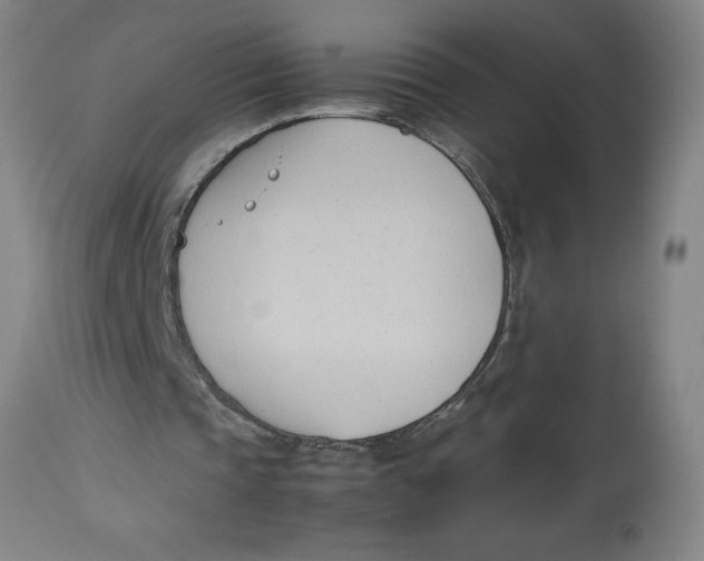 X0000112790337200909181519