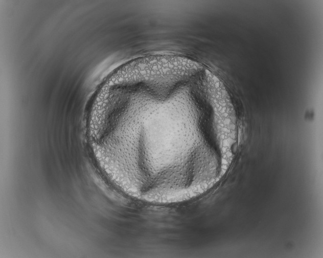 X0000112790339200909181519