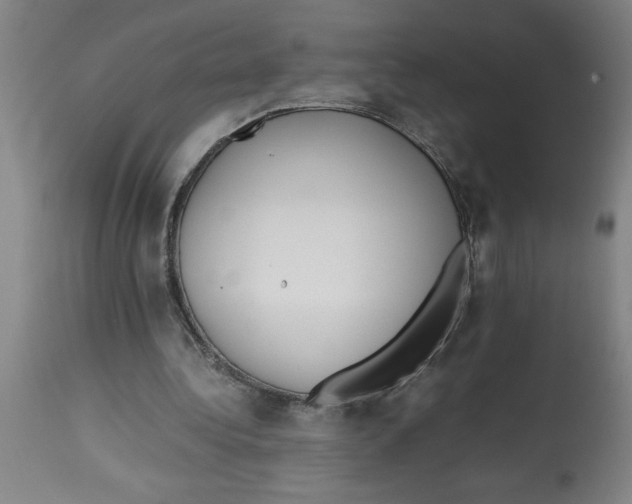 X0000112790340200909181519