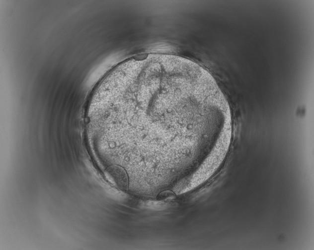 X0000112790341200909181519