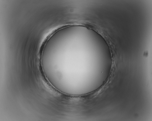 X0000112790342200909181519