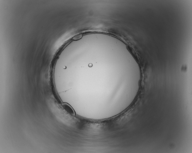 X0000112790344200909181519