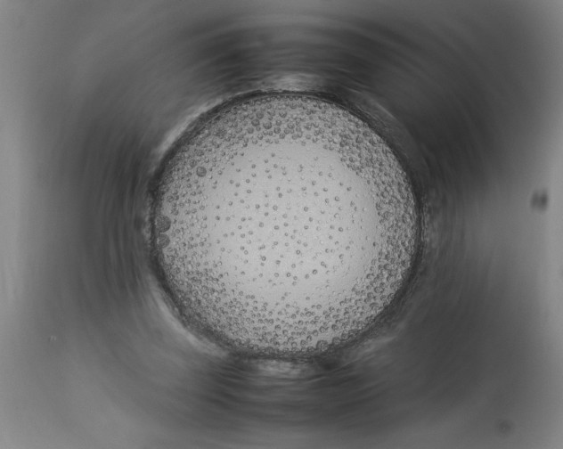 X0000112790347200909181519