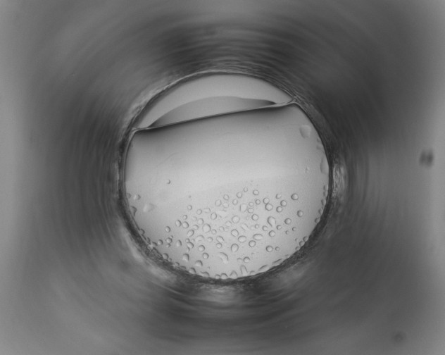 X0000112790349200909181519