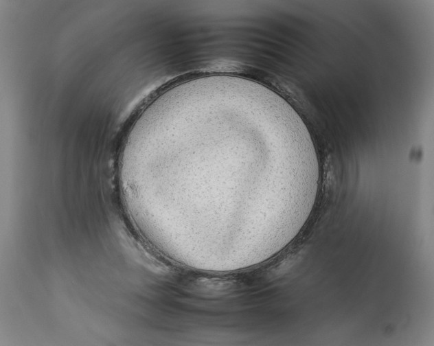 X0000112790351200909181519