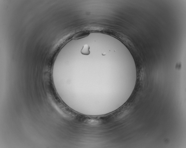 X0000112790352200909181519