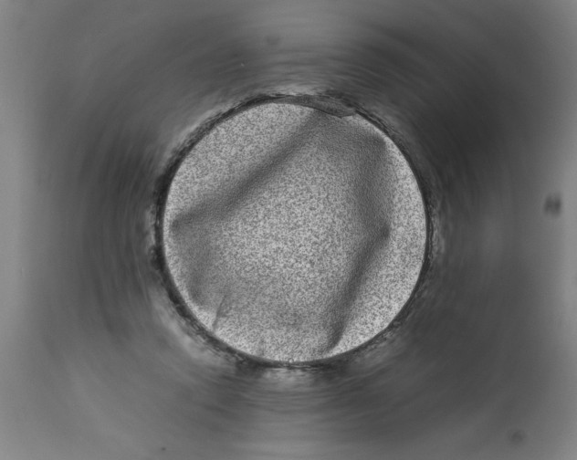 X0000112790354200909181519