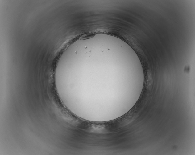 X0000112790355200909181519