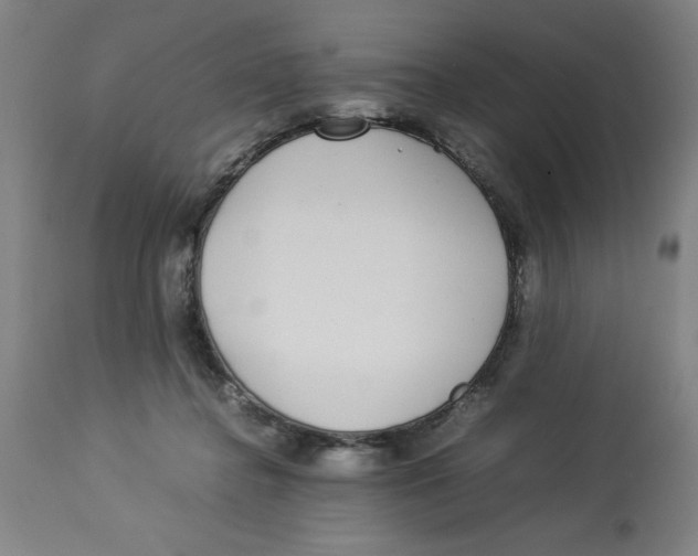 X0000112790364200909181519