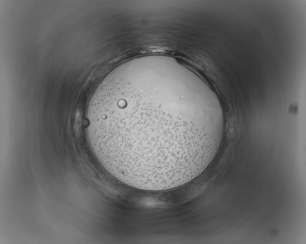 X0000112790365200909181519