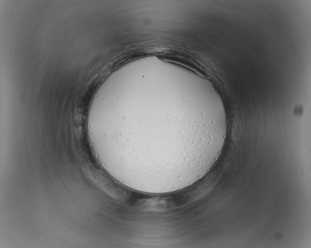 X0000112790366200909181519