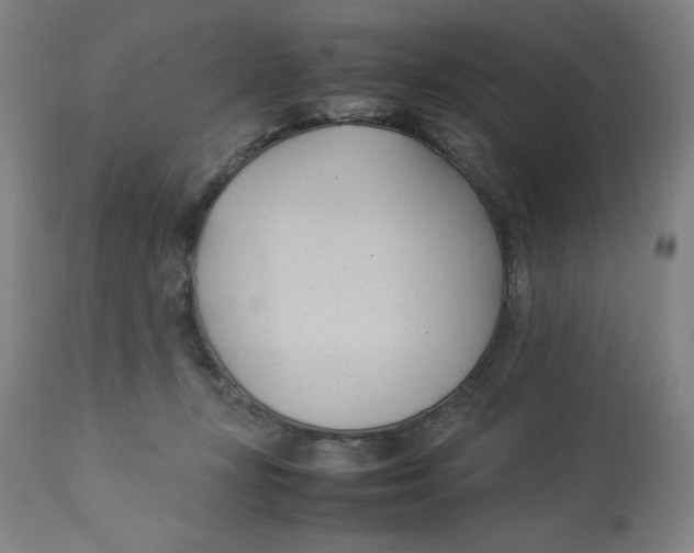 X0000112790367200909181519