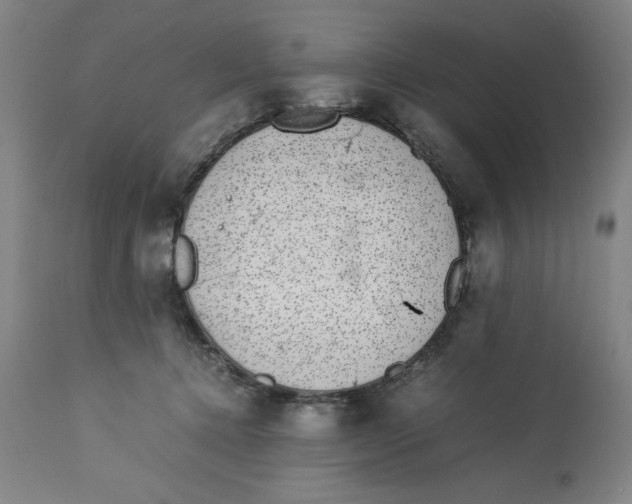 X0000112790368200909181519