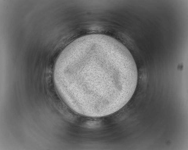 X0000112790369200909181519