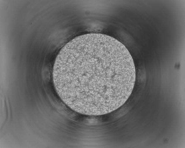 X0000112790370200909181519