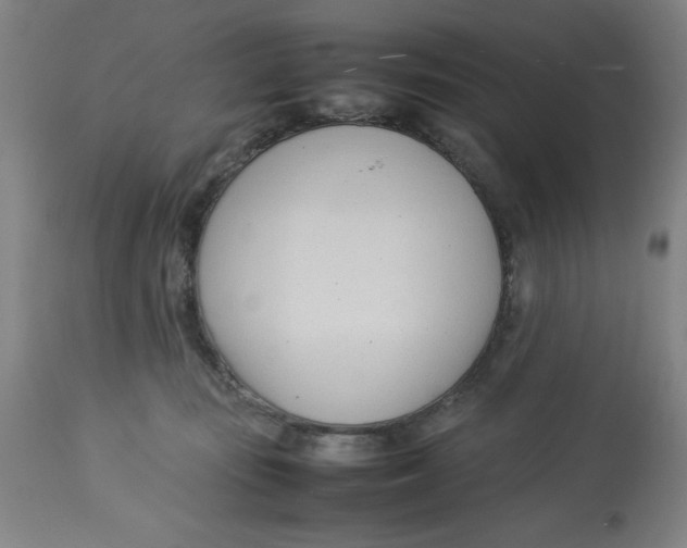 X0000112790371200909181519