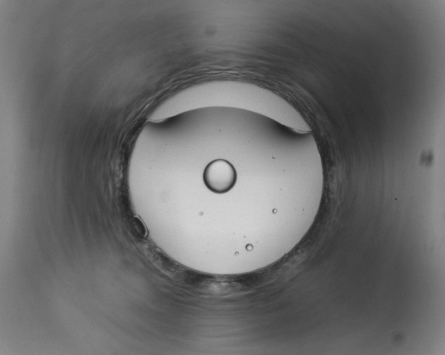 X0000112790372200909181519