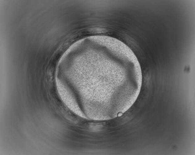 X0000112790373200909181519