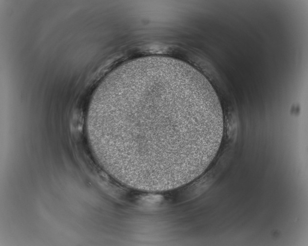 X0000112790374200909181519