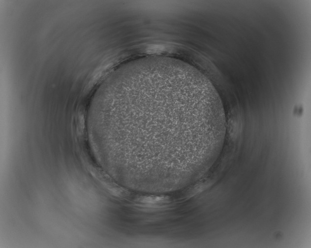 X0000112790375200909181519